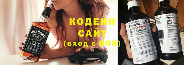 индика Баксан
