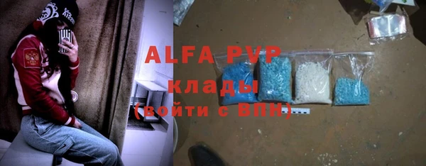 индика Баксан
