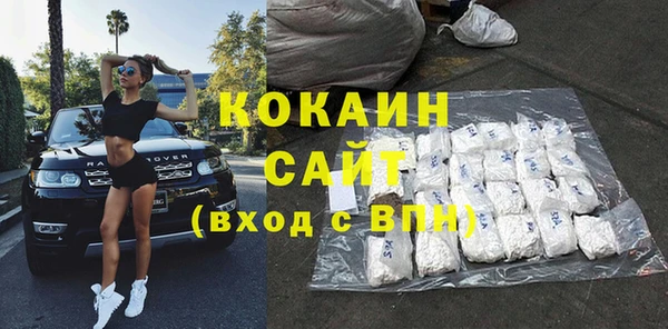 индика Баксан