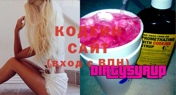 индика Баксан