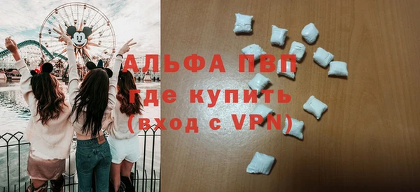 индика Баксан