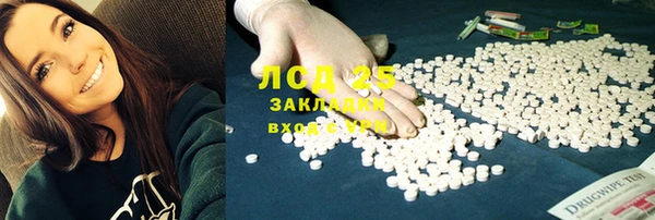 индика Баксан