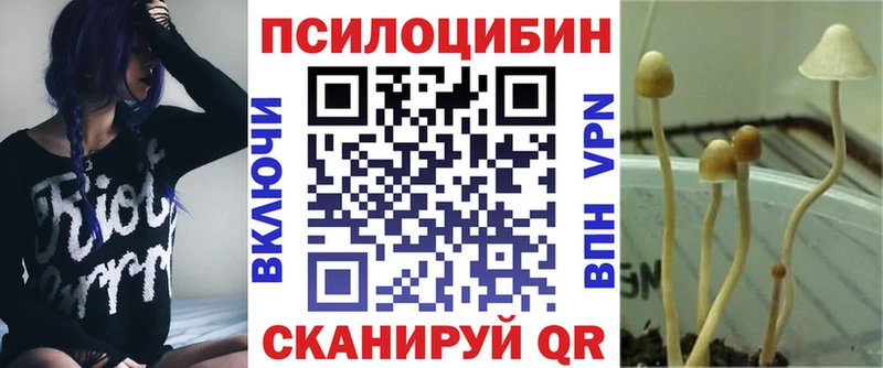 дарнет шоп  Мензелинск  Псилоцибиновые грибы Psilocybine cubensis 
